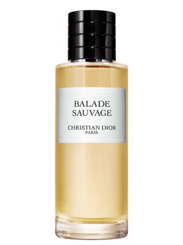 christian dior balance sauvage|draerose savage.